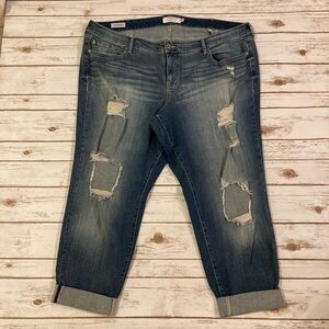 Torrid Blue Distressed Boyfriend Cuffed Jeans 24